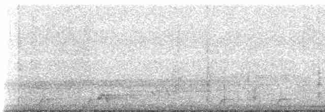 blånakkemaurpitta - ML608353636