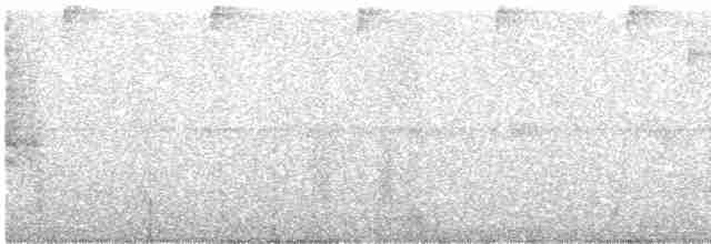 Черноухий колибри - ML608355818