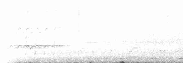 Whimbrel (Hudsonian) - ML608367493