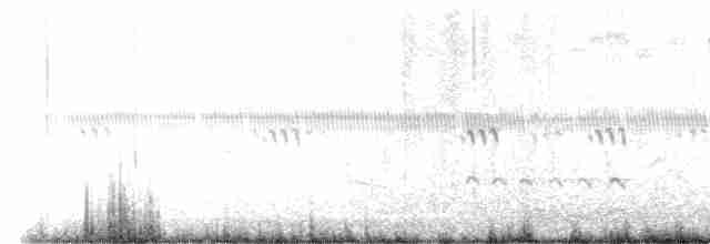 チュウシャクシギ（亜種 アメリカチュウシャクシギ） - ML608367514