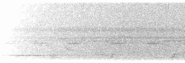 White-tailed Nightjar - ML608370522