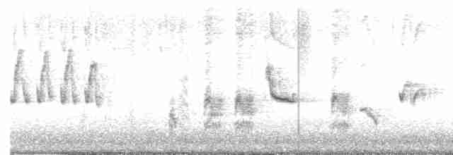 Australian Reed Warbler - ML608378918