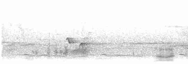 Пестрокрылый горный дубонос - ML608381821