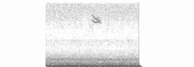 Spotted Flycatcher - ML608383368
