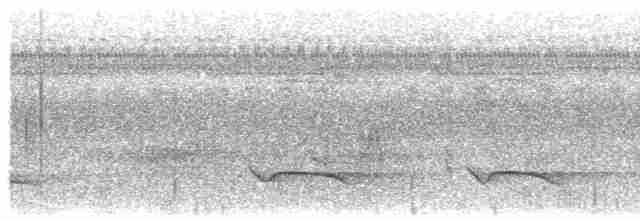 Полосатый зимородок - ML608385554