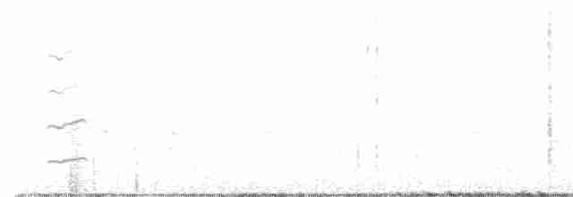 Chalk-browed Mockingbird - ML608401328