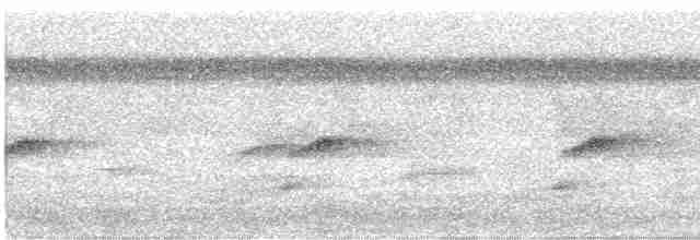 クロムジアマツバメ - ML608413107