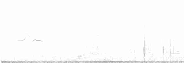 裏海燕鷗 - ML608414893