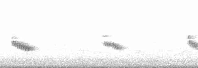 Поплітник каролінський - ML60841701