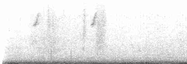 クロコシジロウミツバメ - ML608443152