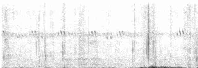 Common Merganser (North American) - ML608443565