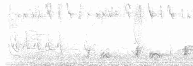 Kara Giysili Karıncakuşu - ML608443866