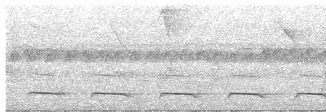 Atlantik Kara Gerdanlı Trogonu - ML608451177