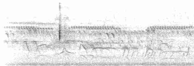 Вилохвостый тиранн (savana) - ML608459711