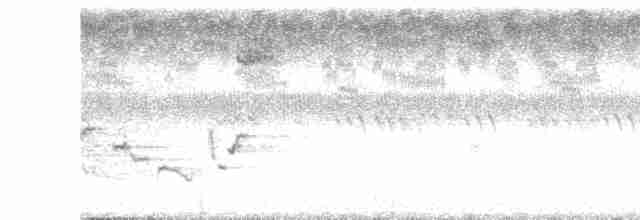 Karolina Çıtkuşu - ML608470553