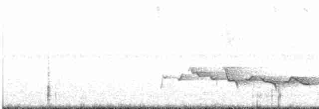 Kara Gagalı Koca Vireo - ML608473547