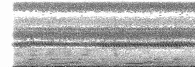 Сова-голконіг далекосхідна - ML608493607