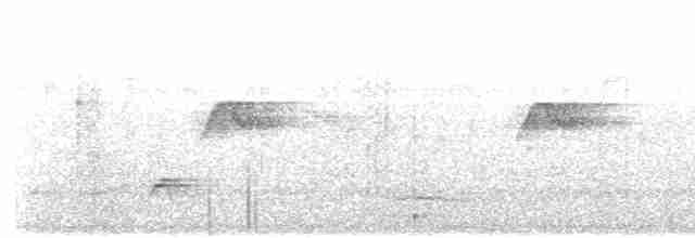 Rostrücken-Ameisenvogel - ML608498252
