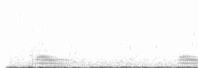 Белошейная гагара - ML608501321