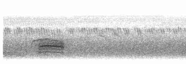 Индийская длиннохвостка - ML608502464