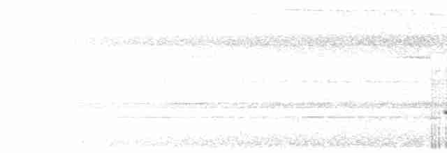 White-necked Babbler - ML608502726