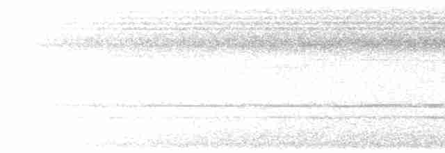 White-necked Babbler - ML608502728