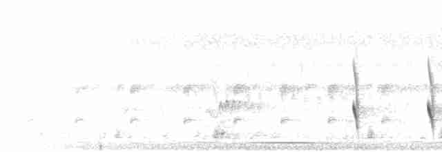 Bant Kuyruklu Çömlekçikuşu - ML608504052