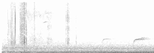 brunkinnskogtrost (ustulatus gr.) - ML608504053