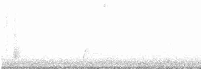 Дрізд-короткодзьоб Cвенсона [група ustulatus] - ML608504128