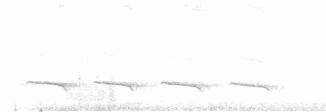 Покривник чорний (підвид immaculata) - ML608504635