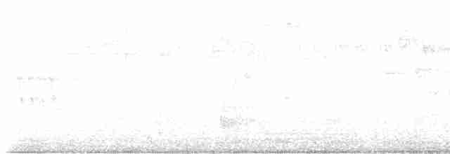 Большеклювая геригона - ML608504672