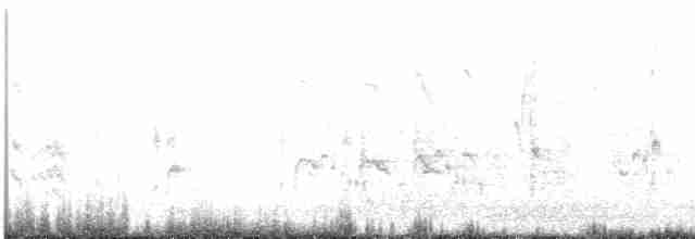 Long-tailed Shrike (schach) - ML608512528