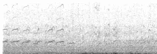 ハジロオオシギ（inornata） - ML608514659
