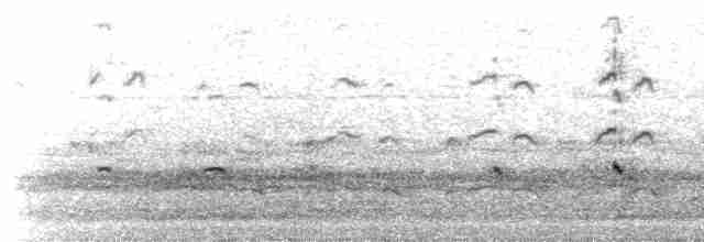 Common Redshank - ML608515877