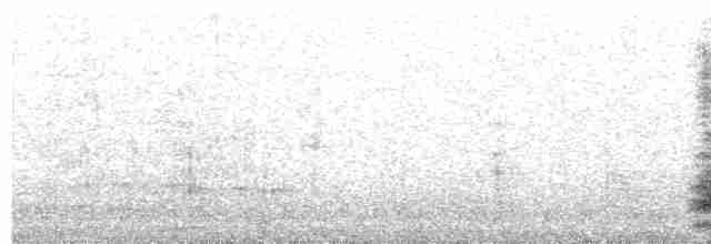 Малая белая цапля - ML608519646