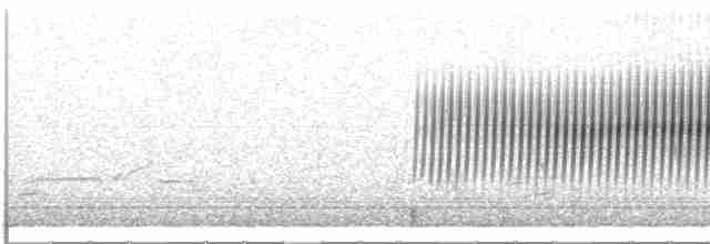 Cırcır Sesli Serçe - ML608519812
