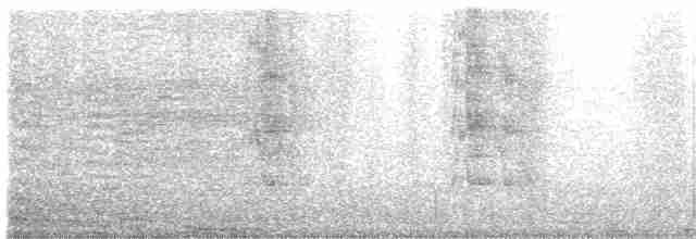Kahverengi Kulaklı Papağan (frontalis) - ML608521236
