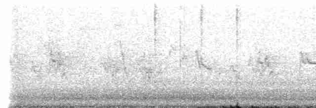 Graumantel-Brillenvogel - ML608523416