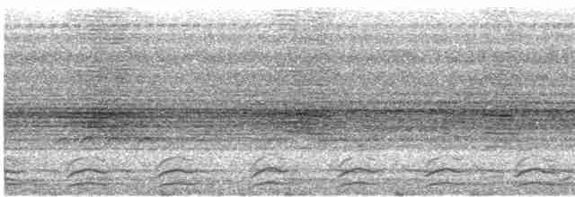 Black-tailed Trogon (Black-tailed) - ML608530379