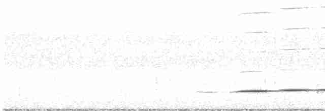 Gözlüklü Yerçavuşu - ML608530976