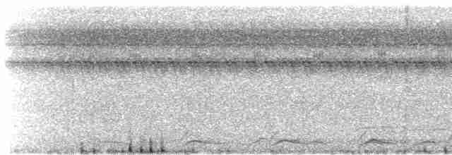 Black-tailed Trogon (Black-tailed) - ML608534064