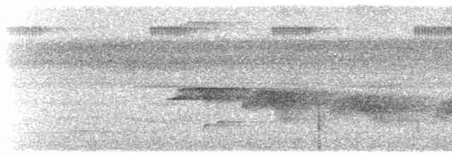 Rotspiegel-Ameisenvogel - ML608535217