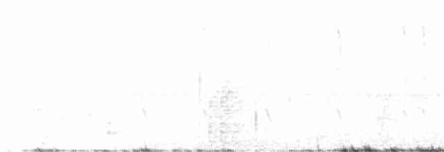 Black-chinned Hummingbird - ML608535576