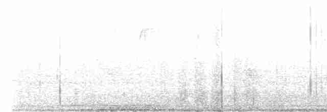 Evening Grosbeak (type 1) - ML608550143