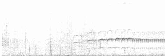 Mérulaxe de Spillmann - ML608550380