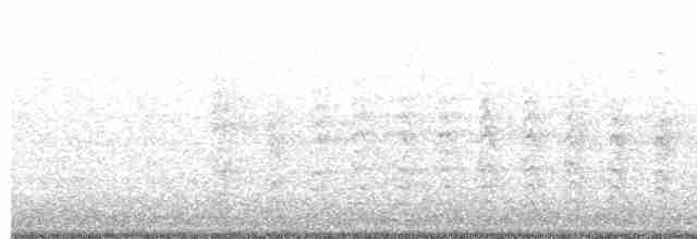 Rundschwanzhabicht - ML608551224