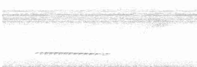 Tüpfelkronen-Ameisenvogel - ML608551528