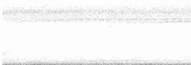 White-tailed Trogon - ML608552827