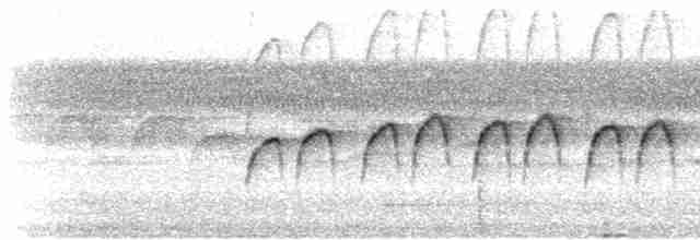 Мурав’янка-куцохвіст гвіанська - ML608554436