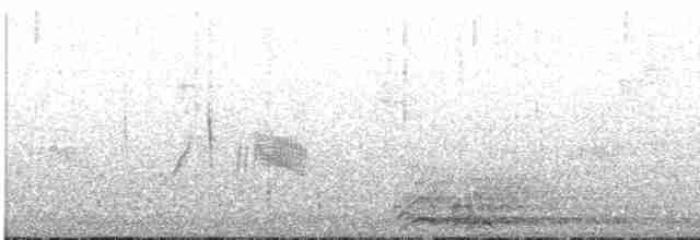 tyranovec vrbový - ML608555166